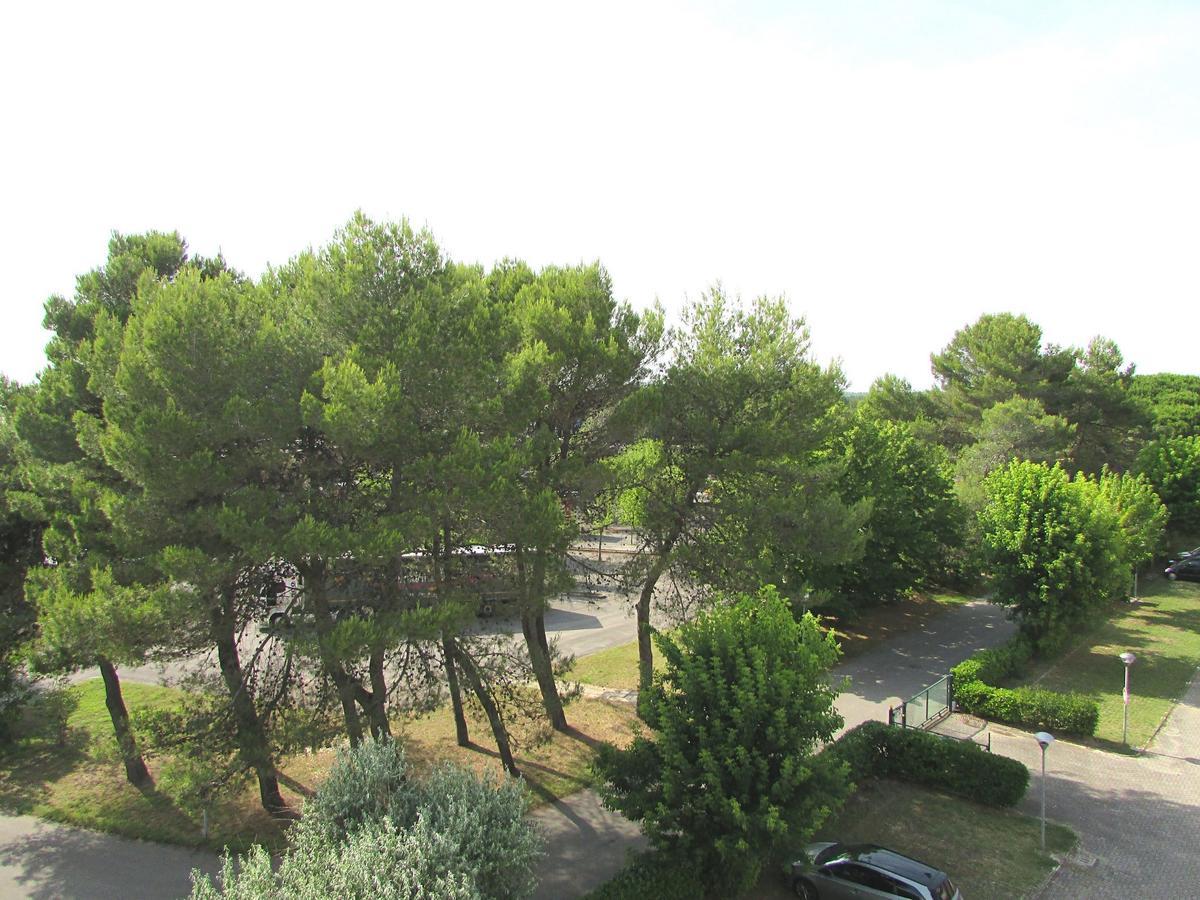Valbella Διαμέρισμα Μπιμπιόνε Εξωτερικό φωτογραφία